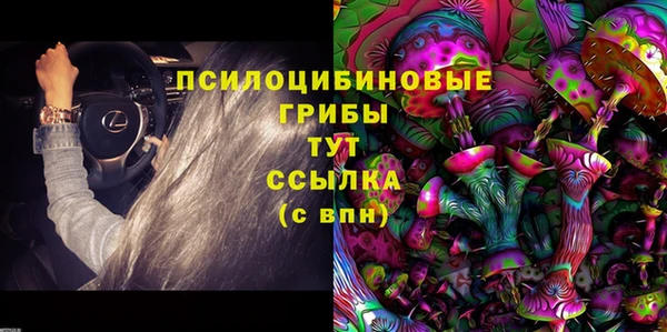 ПСИЛОЦИБИНОВЫЕ ГРИБЫ Баксан