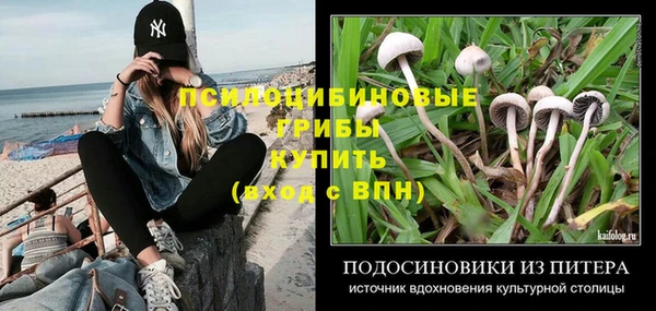 дмт Балахна