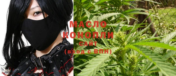 гашик Новозыбков